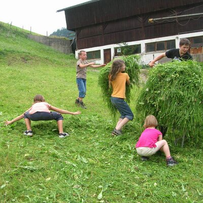 Grass for the cows