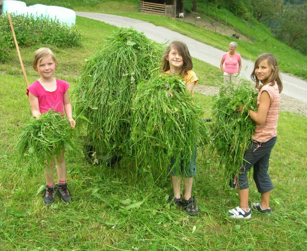 Hard-working helpers