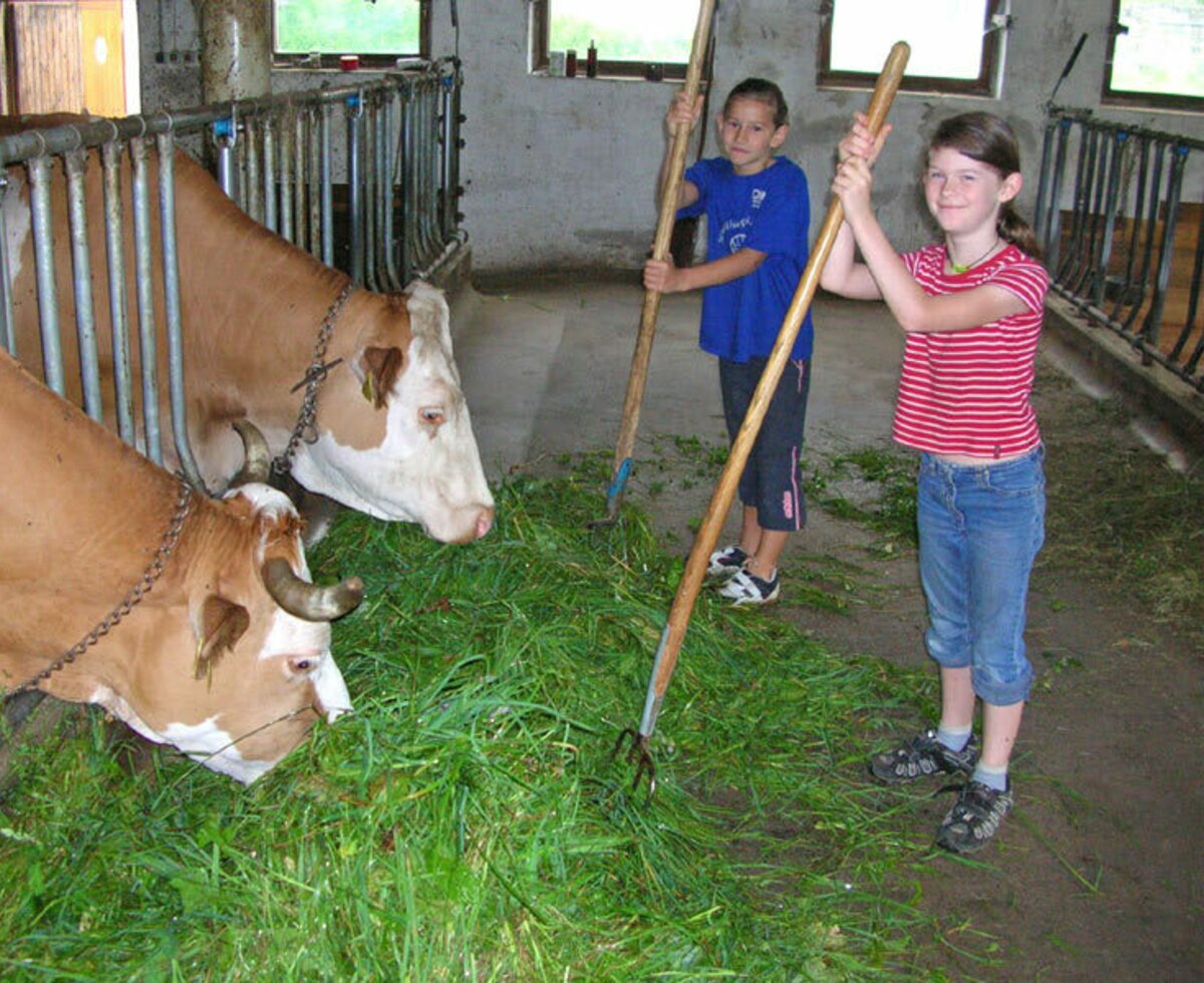 Helpers in the stable