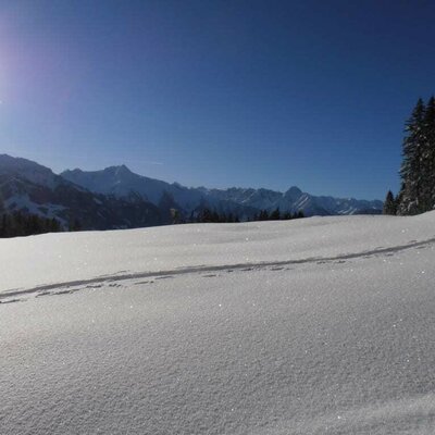 Panoramic of the Ziller Valley, Tyrol