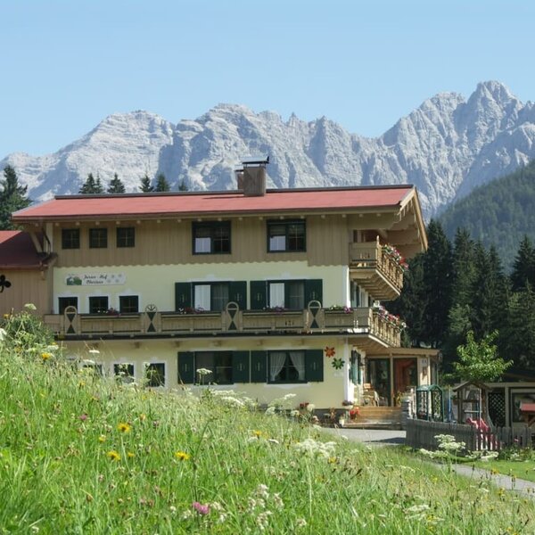 View from the yard of the Obertenn holiday farm, summer in Hochfilzen