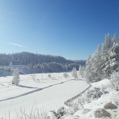 view to lake reintaler