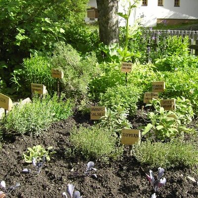 Herb garden