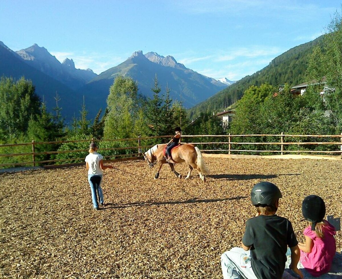 Our riding ring enjoys an idyllic location! Ideal for riding at any time of year thanks to its chipped wood ground