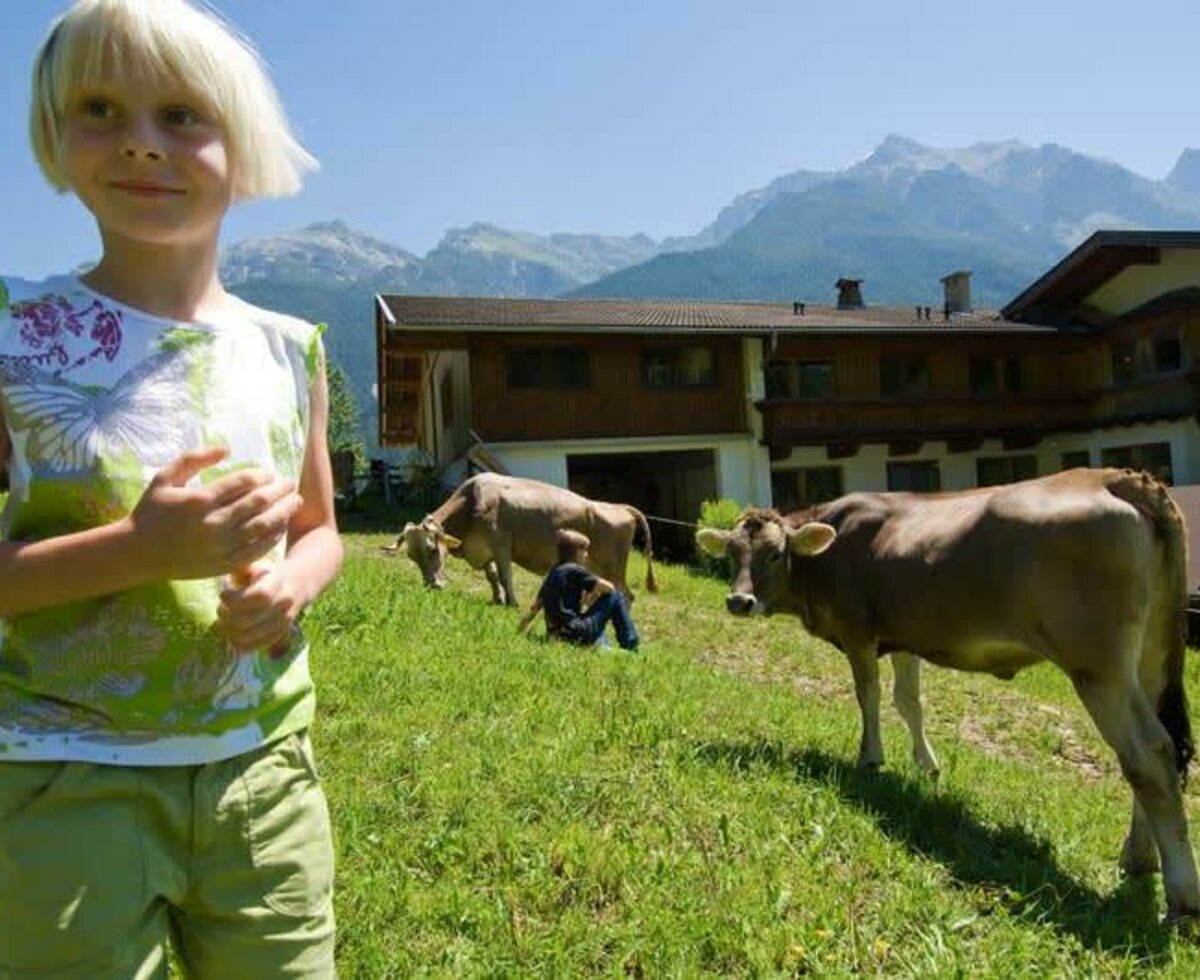 Cows at Ladestatthof farm