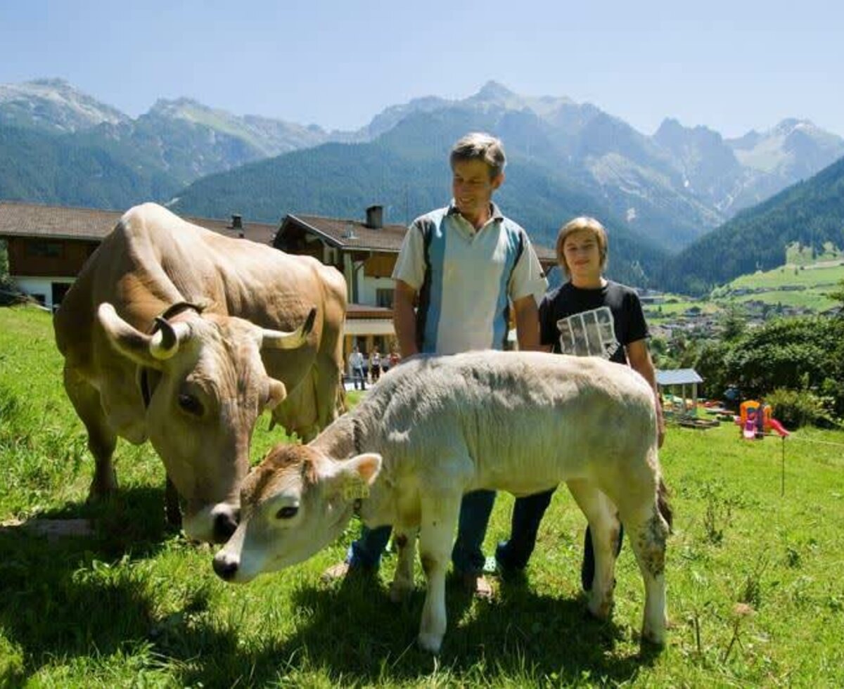 Cows at Ladestatthof farm