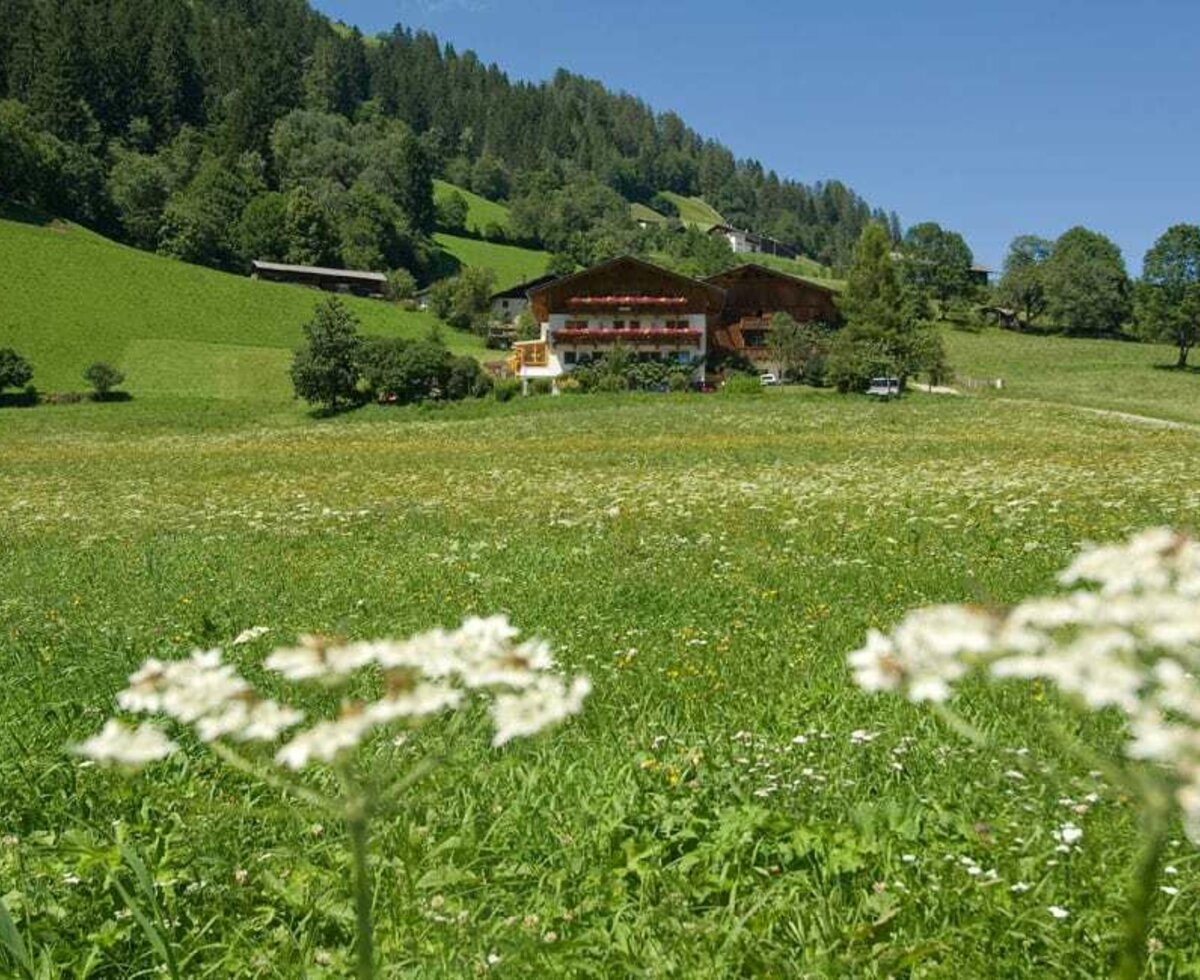 Ladestatthof green meadows