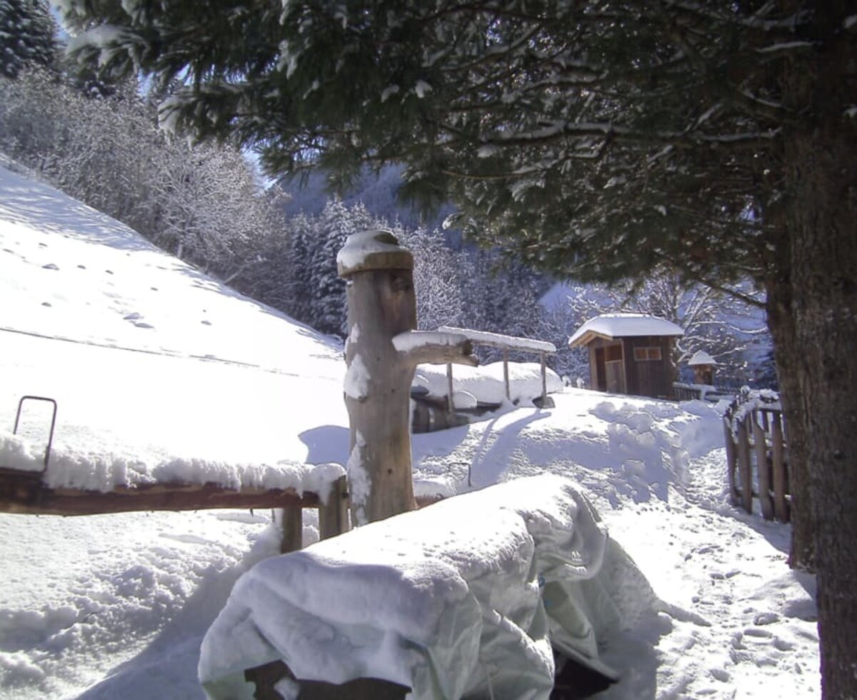 Kneipp fountain in winter