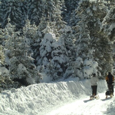 Toboggan run in Fotscher Valley