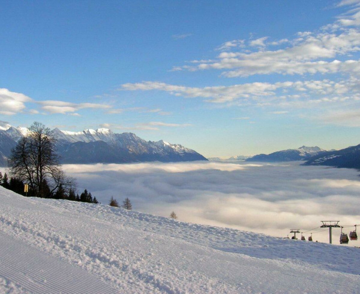 Mutters pasture in winter