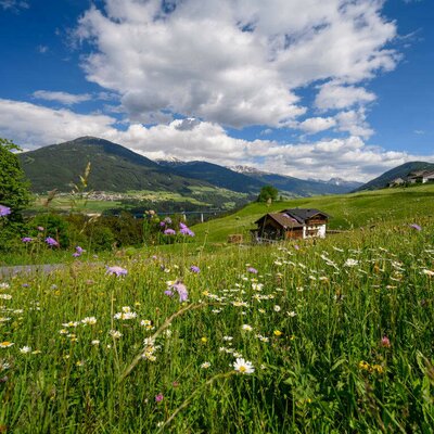 Sattlerhof-Stubaital