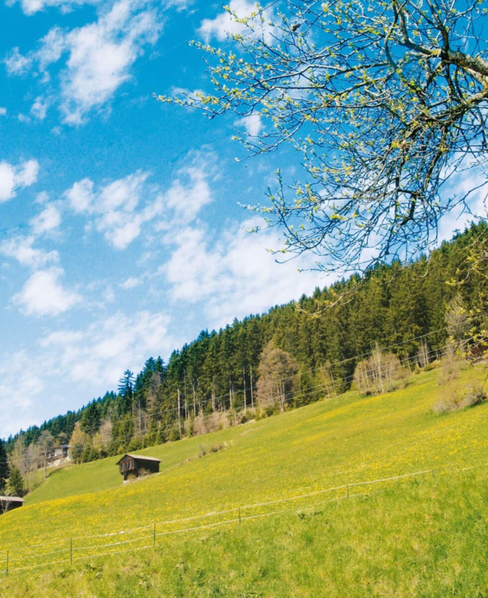 Spring on the Gerlosberg