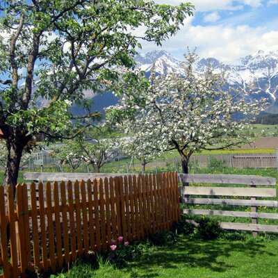 Garden with view of the Nordkette