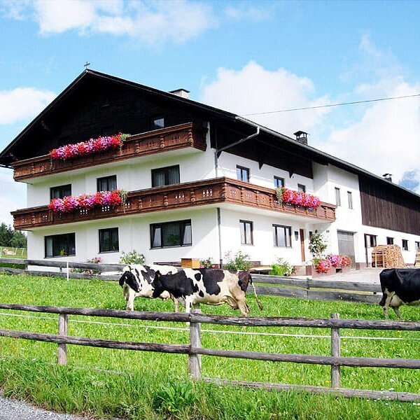 Farm in summer