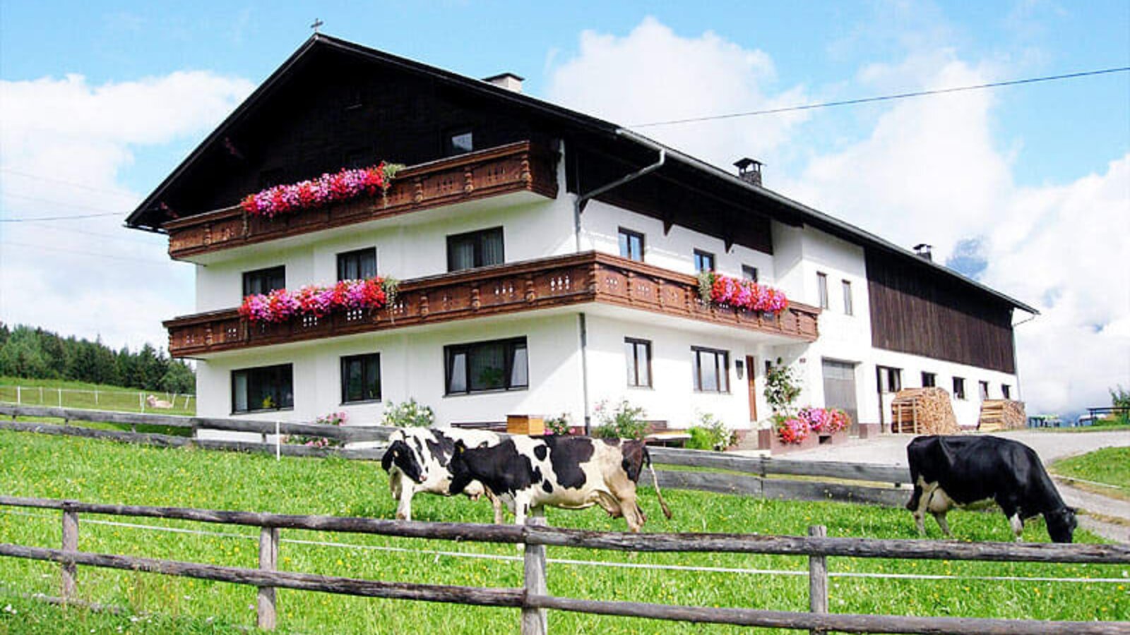 Farm in summer