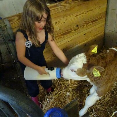 kids help to feed the animals