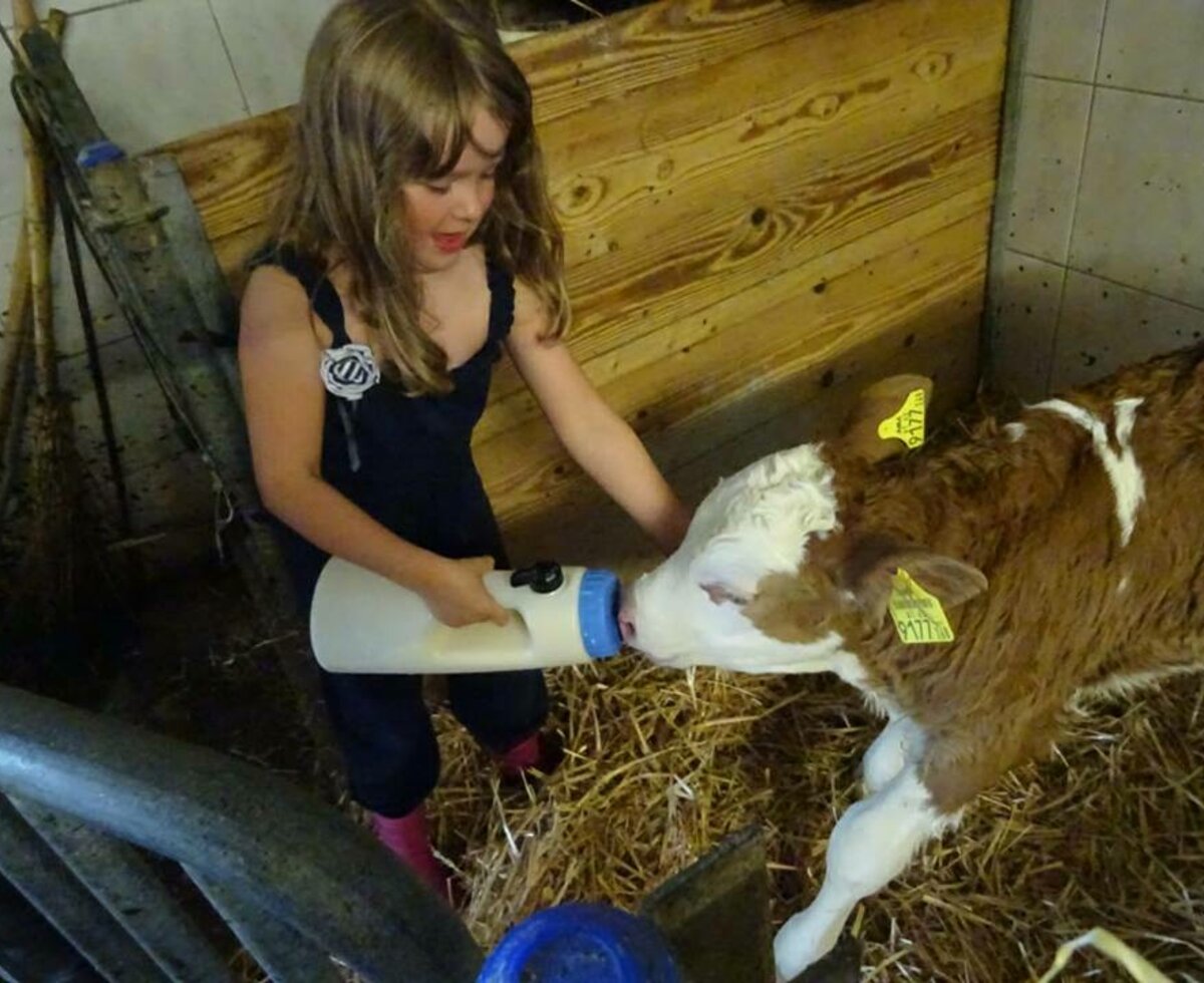 kids help to feed the animals