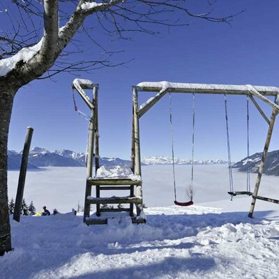 The farm's own swing in winter with a sea of fog.