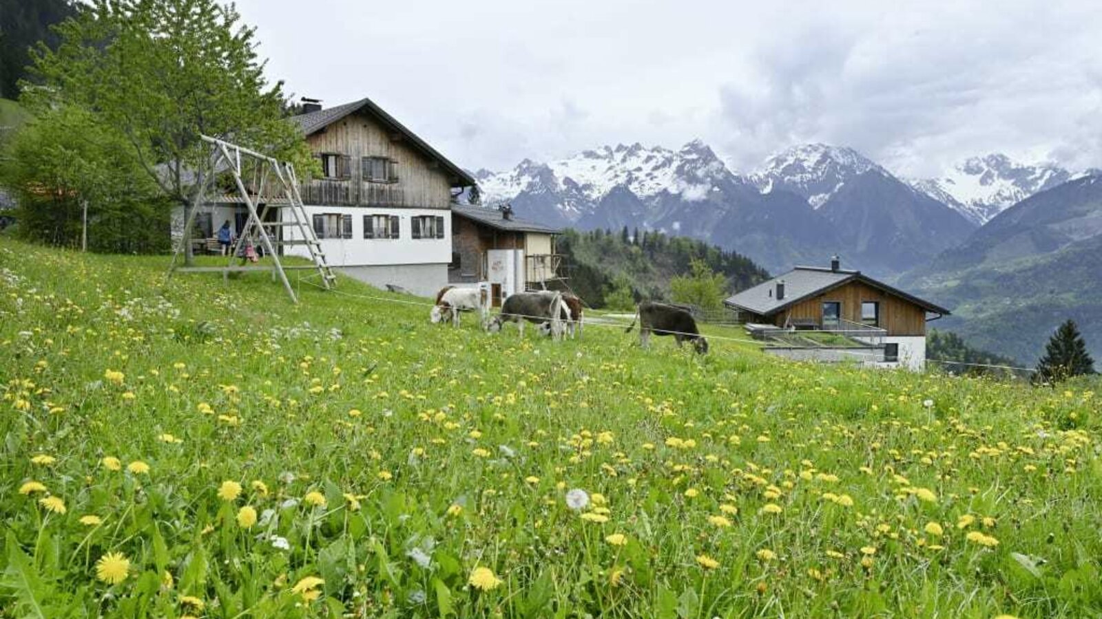 Our farm view at 1200 metres in summer.