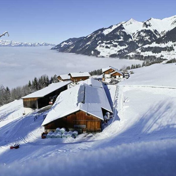 Our mountain farm with a view of the sea of fog.