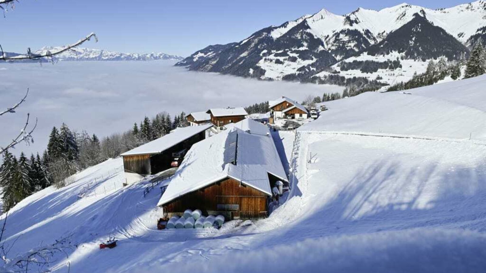 Our mountain farm with a view of the sea of fog.