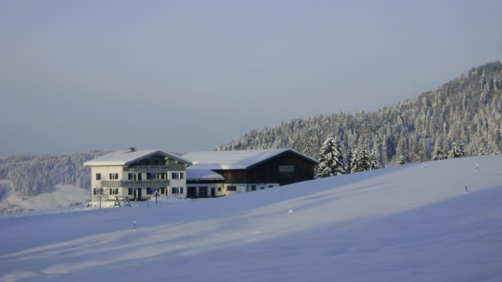 View of the courtyard