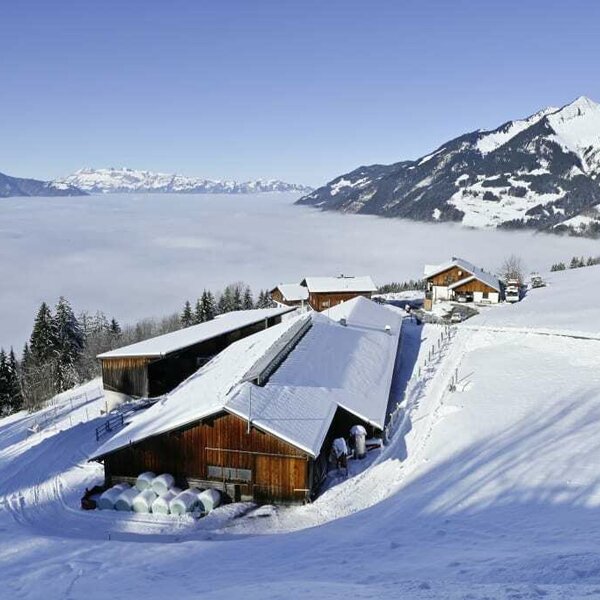 A view of the Berghof Burtscher in winter.