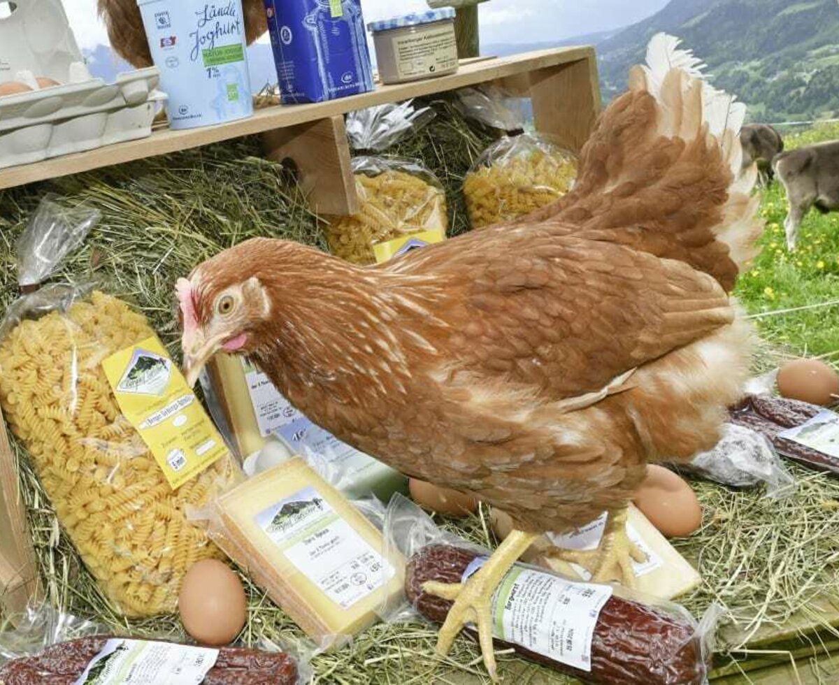 Here you can see our farm products with one of our own chicken.