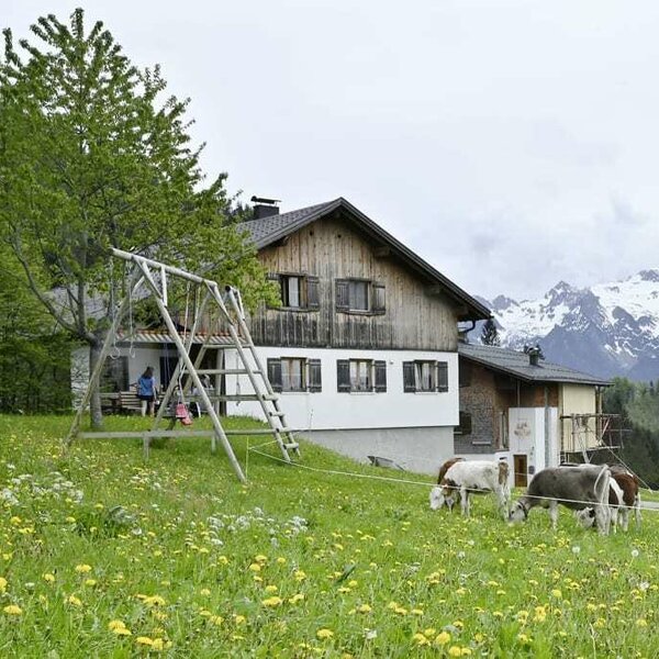 Our farm view at 1200 metres in summer, come on holiday with us.