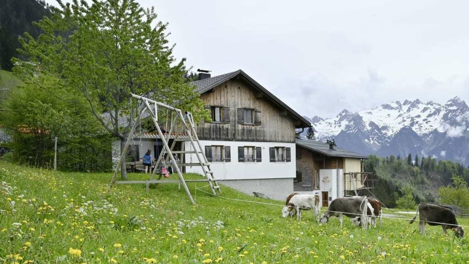 Our farm view at 1200 metres in summer, come on holiday with us.