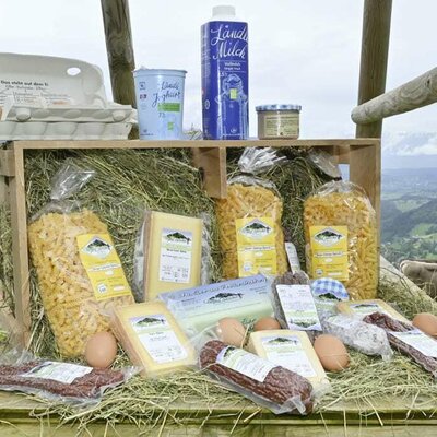 In autumn and winter you can buy alpine cheese from Alpe Steris and delicious fresh milk from our cows directly from the farm at Berghof Burtscher.