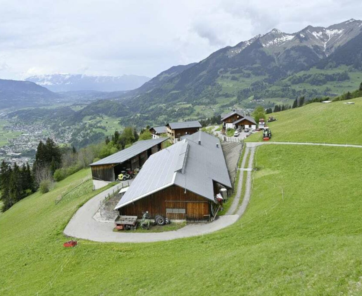 Our farm view at 1200 metres in summer.