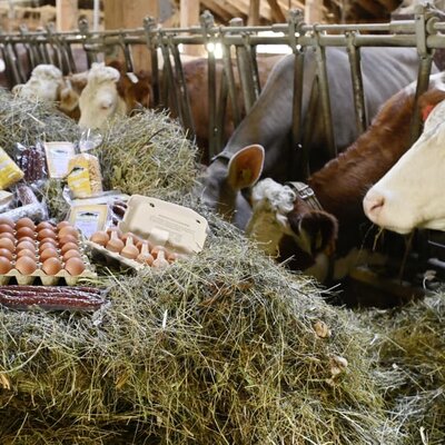 Here you can see our farm products, rustic on hay with the cows.