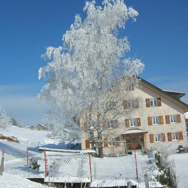 Beautiful winter day in Sulzberg