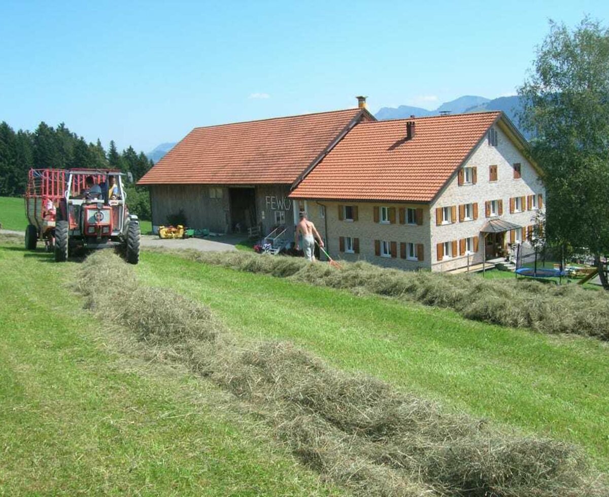 Hay making