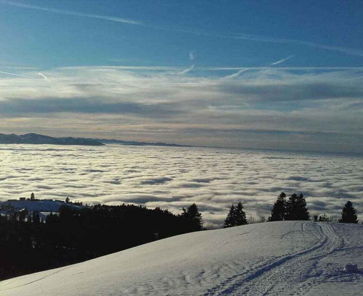 Our farm is the highest farm in the region. Enjoy the fantastic view over Lake Bonden and the Swiss mountains.