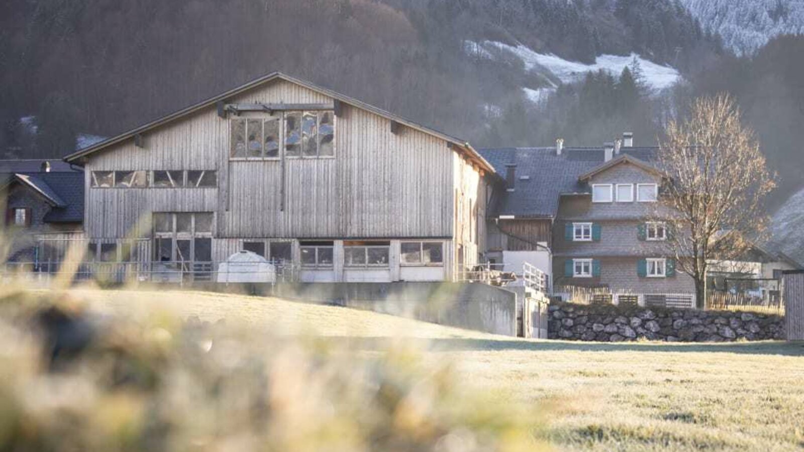 Our farm is located in Au-Schoppernau in the Bregenzerwald.