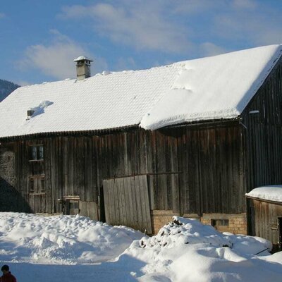 our old farm