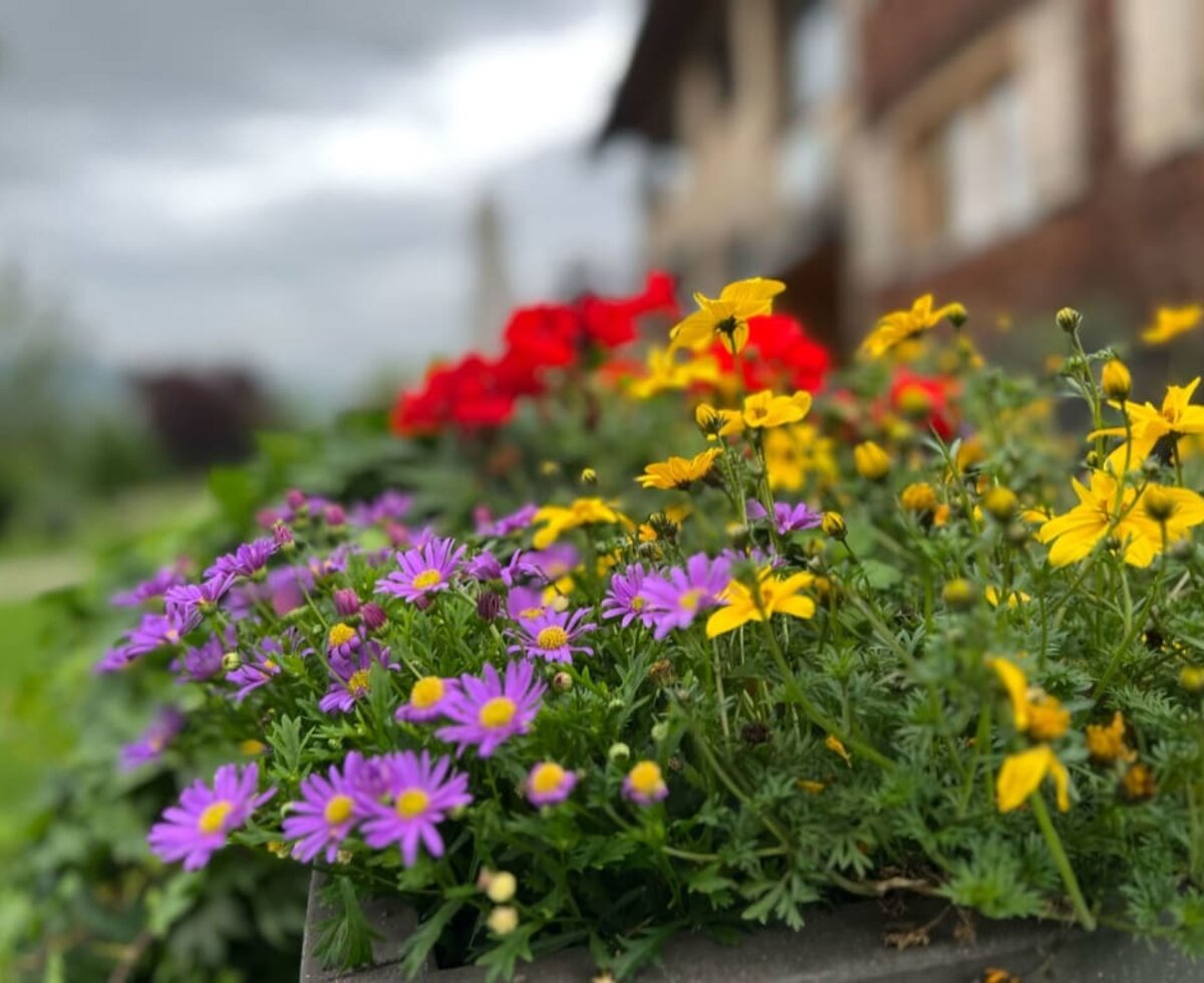 Garden at the shingle house of the holiday farm on the Heidegg.