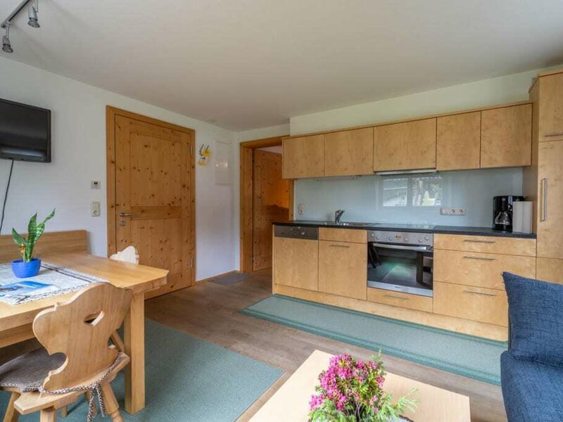 apartment Birke - kitchen-living room