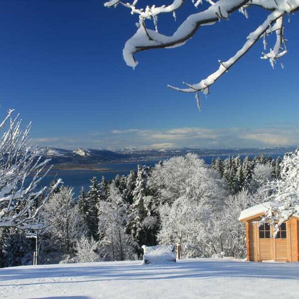 View on the lake constance