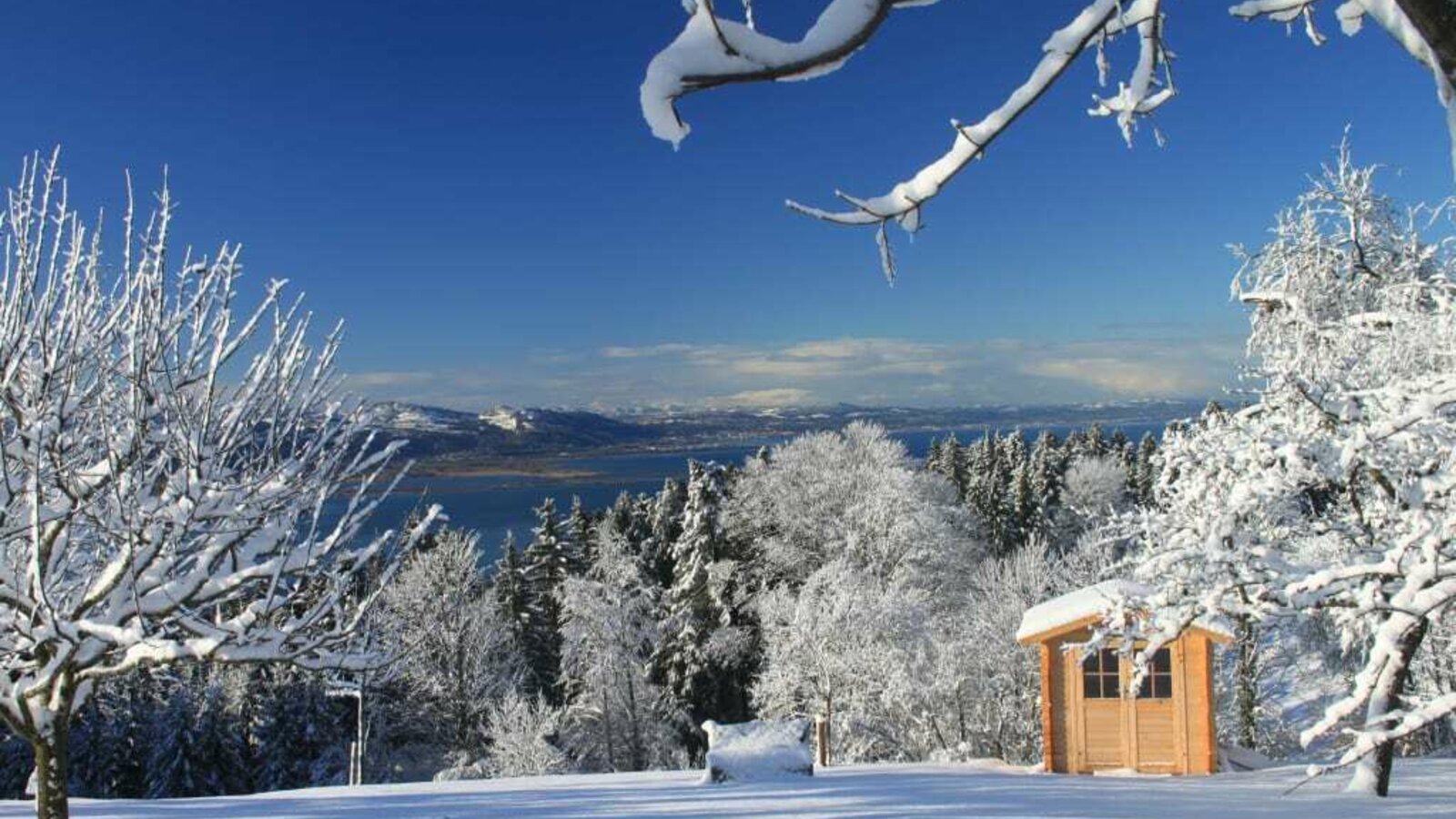 View on the lake constance