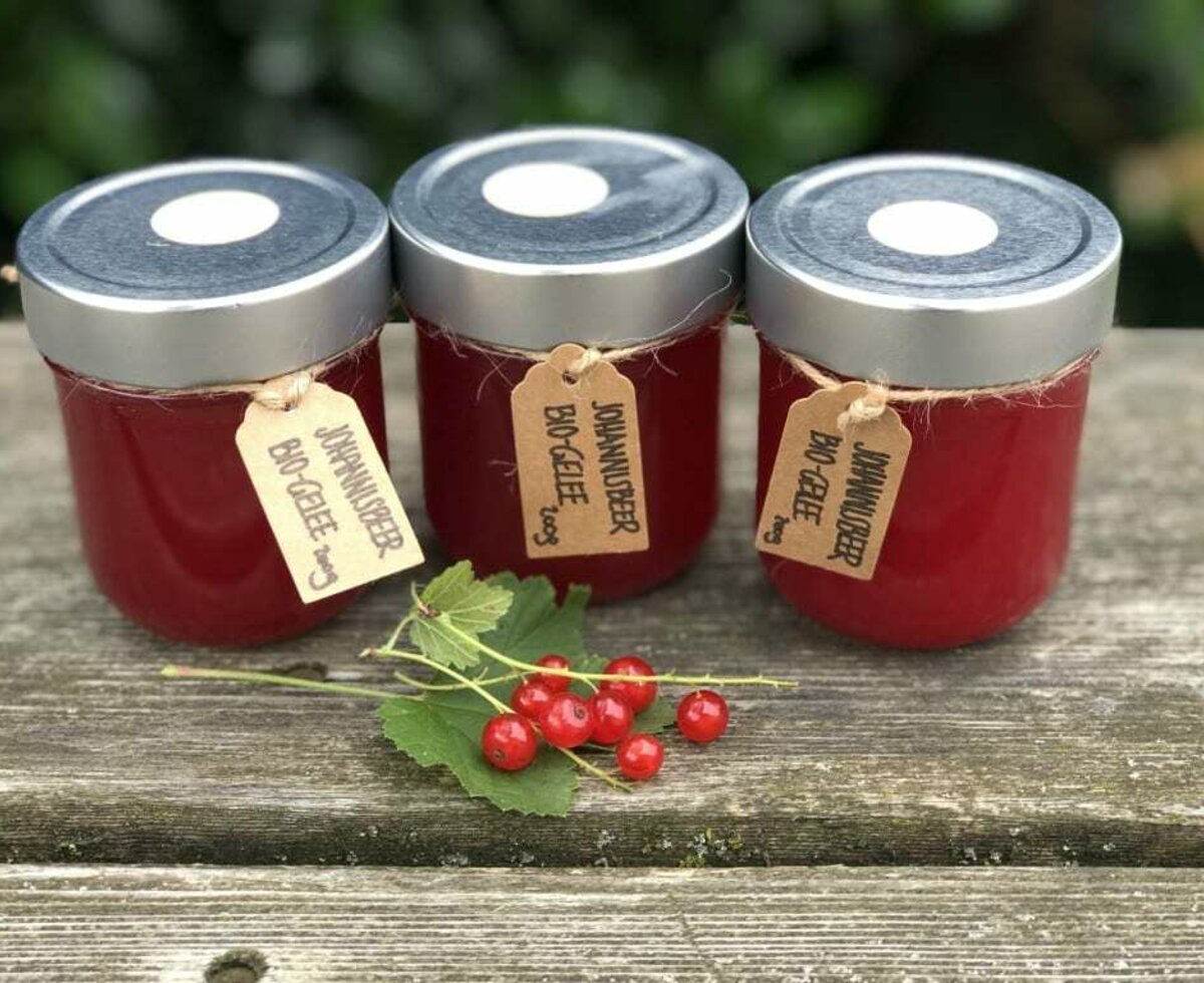 Currant-Jelly