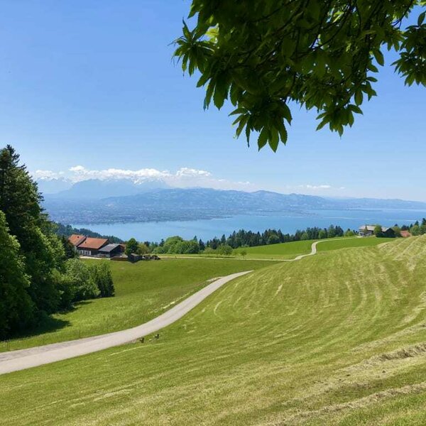 Farm and view onto the lake