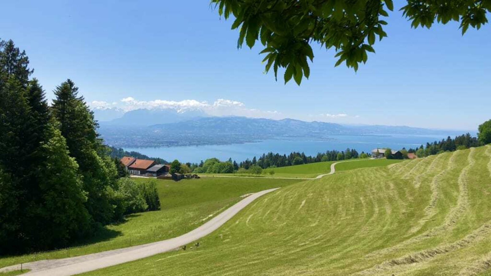 Farm and view onto the lake