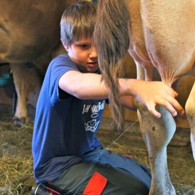 Lukas is milking the cows