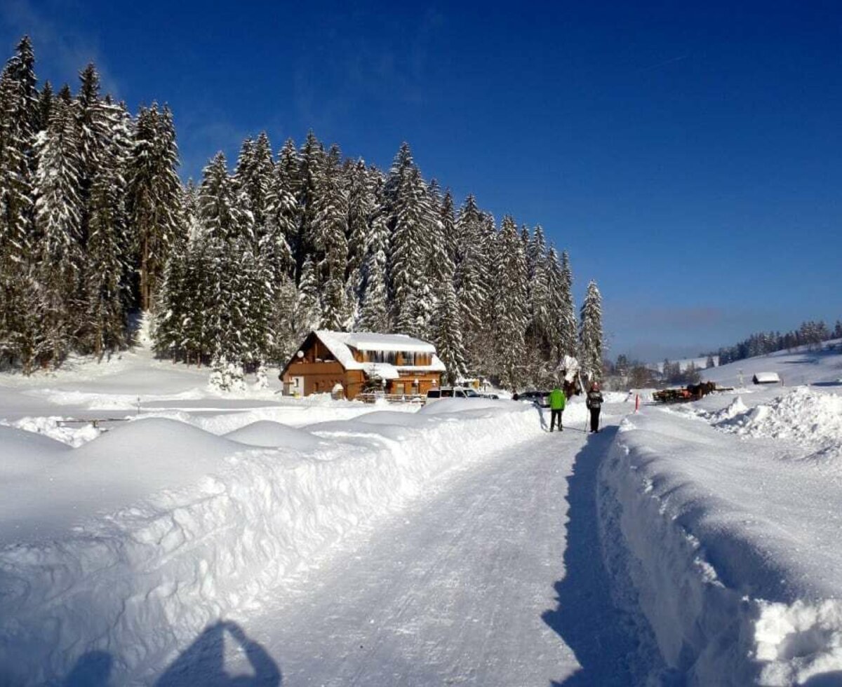 Winter hiking in the fairytale winter forest as a lasting memory.