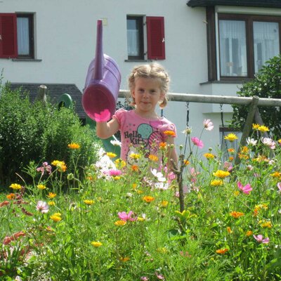 Our garden, play and sunbathing area ...